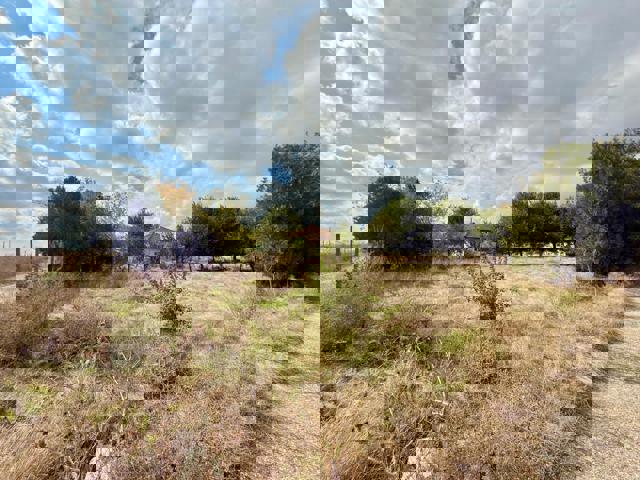 Medgidia_Vanzare_Teren_46f6b779-08c7-4dae-8e5c-6701eca54311.jpg